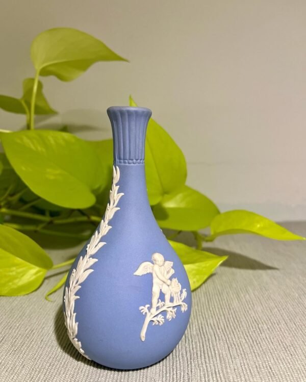 Wedgwood in modern interior, vase and plants