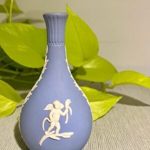 Wedgwood in modern interior, vase and plants
