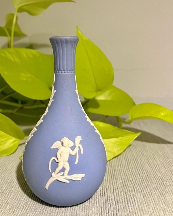 Wedgwood in modern interior, vase and plants