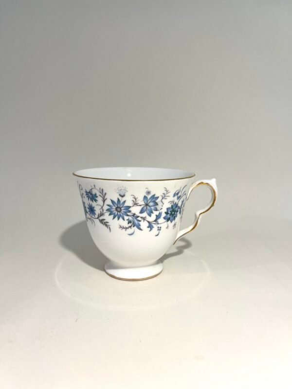 Colclough Braganza Fine Bone China Tea Cup