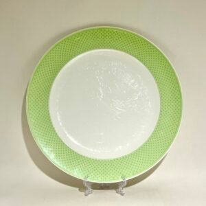 Villeroy & Boch Tipo Green.Com Dinner Plate