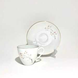 Vintage Arsberg Bone China Coffee Cup & Saucer